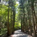 2026년 3월21(토)~22일(일) 일본 대마도 1박 2일 여행 일정표 이미지