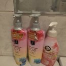 뷰티풀펜션 | 춘천펜션~가성비와 봄날의 강촌풍경이 함께하는 '뷰티풀펜션으로🏡