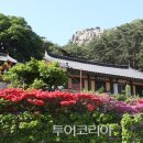 용봉산자연휴양림 이미지