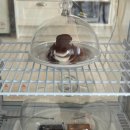 타르트문 | 대전 봉명동 카페 리에종카페 내돈내산 에그타르트 맛집 후기