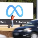 메타로라 이미지