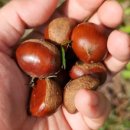 풍천농장 이미지