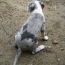 (주)덴판도 이미지