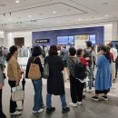 강남-279 이미지