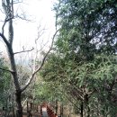 서호동-18 이미지