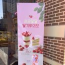 할리스 고양삼송점