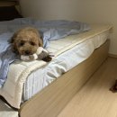 형우푸드