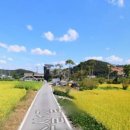 [국도1] 공주시 공암리 - 3808 | [국도1] 공주시 공암리