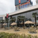 강남-205 이미지