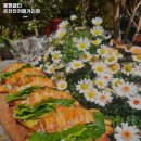 구로-구로-구로-2034 | 부산원동역 맛집 몽벨쉘터 온천천카페거리점 솔직후기｜맛·가격·영업시간·주차까지 정리!