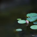 늘 조용히 고요하게 이미지