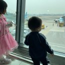 서윤의숲길 이미지