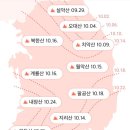 올해 전국에 단풍이 물드는 시기 이미지