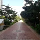 수빈공인중개사사무소 네이버블로그
