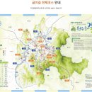 원주굽이길 2코스 700년 노송길 이미지