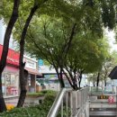 (주)투엑스 휘트니스 | 대치동 대치역 헬스장 투엑스휘트니스 GDR 아카데미 대치점