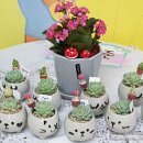 논공초등학교병설 이미지