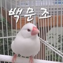 자연생태박물관 이미지