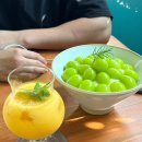 담양 빙수 맛집 생과일 빙수 카페 내돈내산 솔직 후기 [행성리여행]