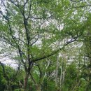 서구-12 | 우아의 하루-156/봄날(12)-광주 서구 슬로우 조깅 첫모임 후기