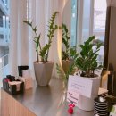 중앙동177 이미지