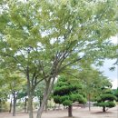 화랑유원지 제2주차장 이미지