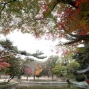 왕의 정원 이미지