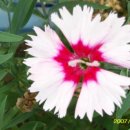 신복초등학교 이미지