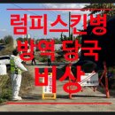 병양농장 이미지