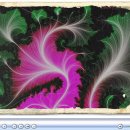 미라클  (miracle) 이미지