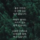 꽃길만