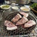 참숯뒷고기(신정점) 네이버블로그