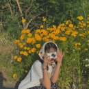 월오포레스트 이미지