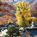 김란산부인과의원 이미지