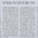 계곡일번지 Daum카페