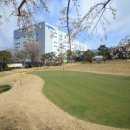 숏게임마스타 이미지