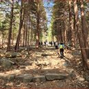 정오교통(주) | [경남/봄축제]2026년 4월 창원 천주산 진달래축제 2026 일정 프로그램 주차 코스 총정리