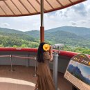 승원메디컬 | 전남 진도 해남 1박 2일 여행 (진도개테마파크,가휴재펜션, 대륜산 대흥사)