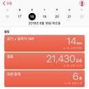 돈미관