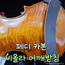 비올라 | 페디 카본 비올라 어깨받침 구입 및 사용 후기