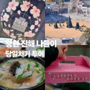 진해구 ⓒ-7 | 창원 진해 나들이 모노레일 투어 중앙시장 경품행사 야시장은 덤으로