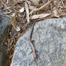 옥련시장 이미지