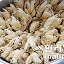 약촌삼계탕 이미지