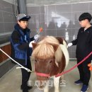 진로축산 - 고양시 덕양구 호국로 1829 | 진로축산