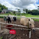 향수목장2 이미지