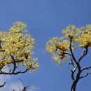 구절리역 이미지