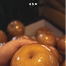 용용농산