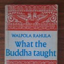 월폴라 라훌라 스님의 《부처님의 가르침》What the Buddha Taught을 펼치며 — 거울에서 설계도로, 그리고 바다로.1 이미지