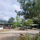 개미목장 | 양평 가볼만한곳 <양평 양떼목장 >, 34개월 아기랑 체험하기 좋은 곳