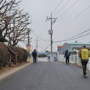 마조리 마을회관 티스토리